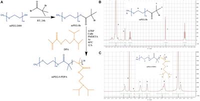 A New pH-Responsive Nano Micelle for Enhancing the Effect of a Hydrophobic Bactericidal Agent on Mature Streptococcus mutans Biofilm